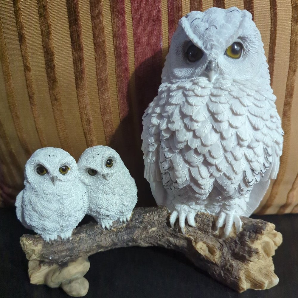 White Owl Family